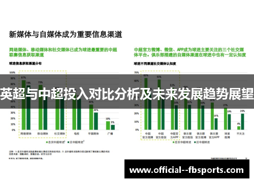 英超与中超投入对比分析及未来发展趋势展望 英超与中超投入对比分析及未来发展趋势展望